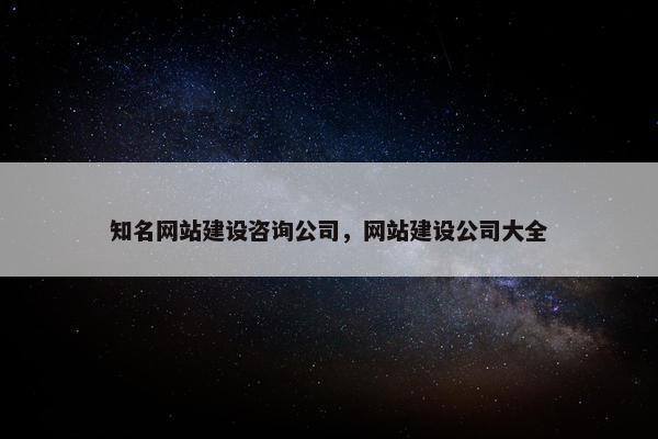 知名网站建设咨询公司，网站建设公司大全