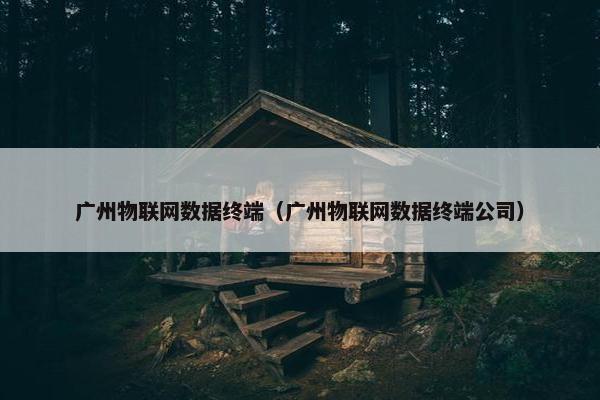 广州物联网数据终端（广州物联网数据终端公司）