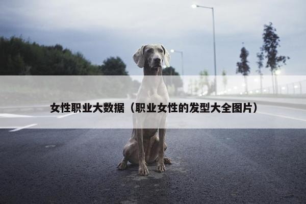 女性职业大数据（职业女性的发型大全图片）