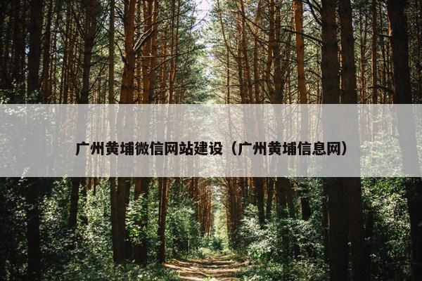 广州黄埔微信网站建设（广州黄埔信息网）