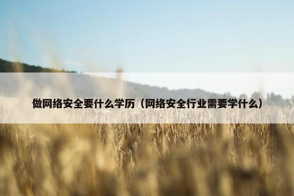 做网络安全要什么学历（网络安全行业需要学什么）