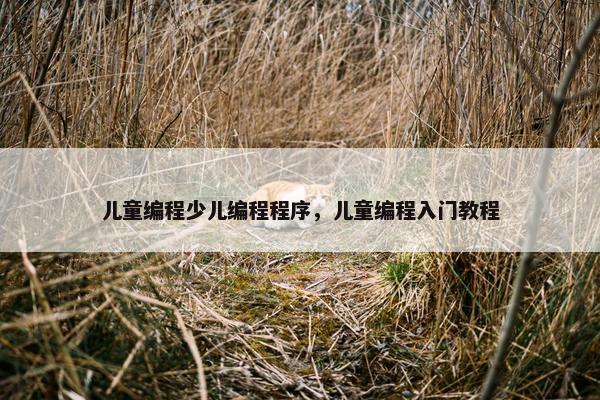 儿童编程少儿编程程序，儿童编程入门教程