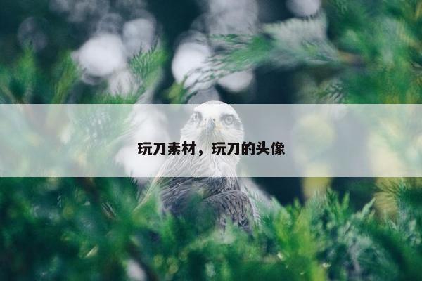 玩刀素材，玩刀的头像