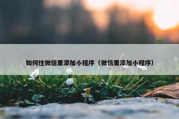 如何往微信里添加小程序（微信里添加小程序）