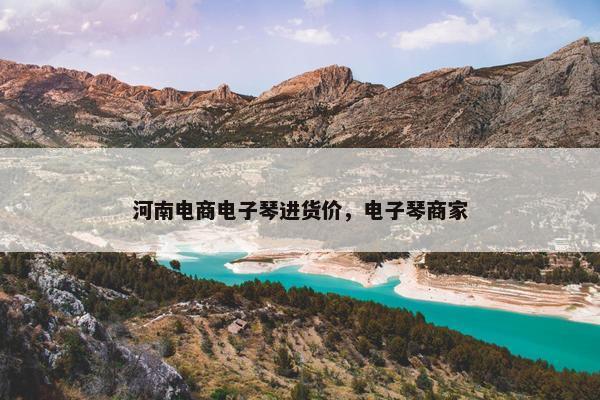 河南电商电子琴进货价，电子琴商家