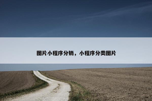 图片小程序分销，小程序分类图片