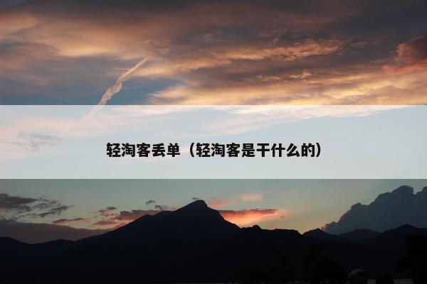 轻淘客丢单（轻淘客是干什么的）