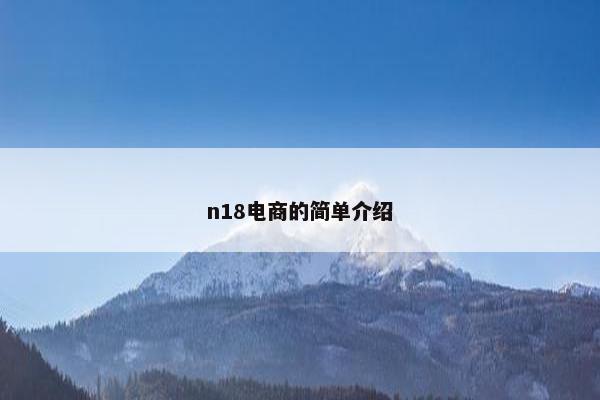 n18电商的简单介绍