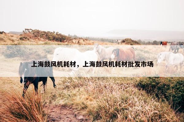 上海鼓风机耗材，上海鼓风机耗材批发市场