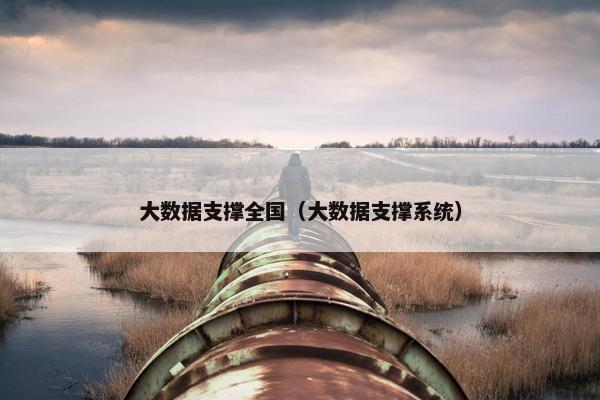 大数据支撑全国（大数据支撑系统）