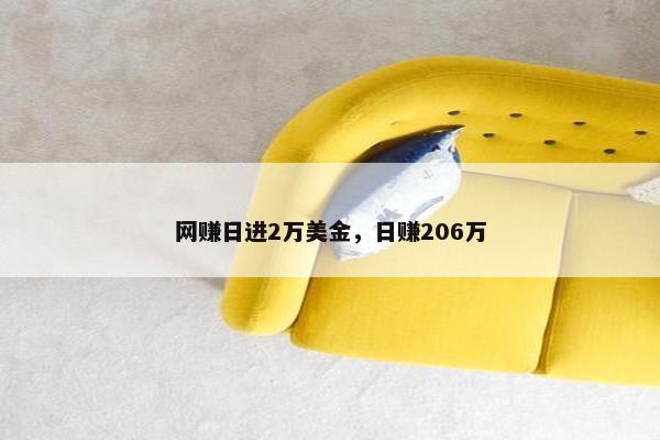 网赚日进2万美金，日赚206万