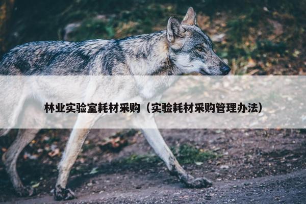 林业实验室耗材采购（实验耗材采购管理办法）