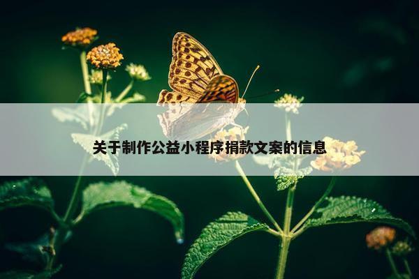 关于制作公益小程序捐款文案的信息