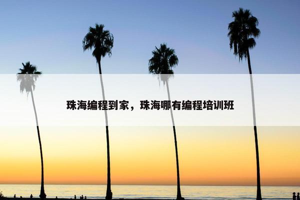 珠海编程到家，珠海哪有编程培训班