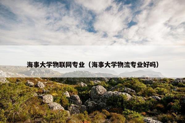 海事大学物联网专业（海事大学物流专业好吗）