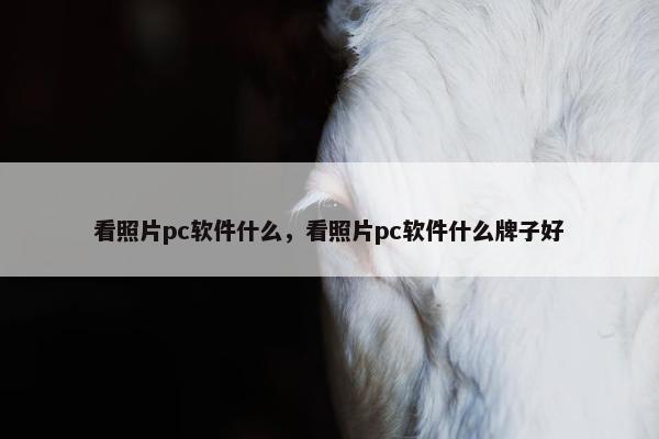 看照片pc软件什么，看照片pc软件什么牌子好