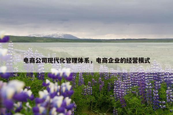 电商公司现代化管理体系，电商企业的经营模式