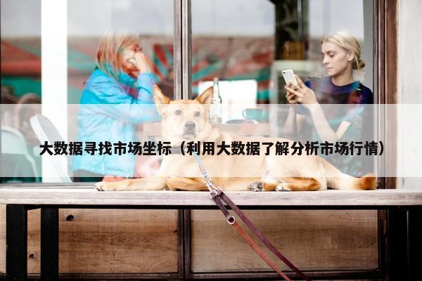 大数据寻找市场坐标（利用大数据了解分析市场行情）