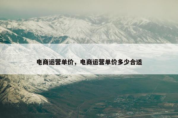 电商运营单价，电商运营单价多少合适
