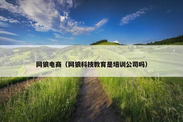 网狼电商（网狼科技教育是培训公司吗）