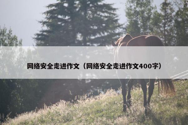 网络安全走进作文（网络安全走进作文400字）