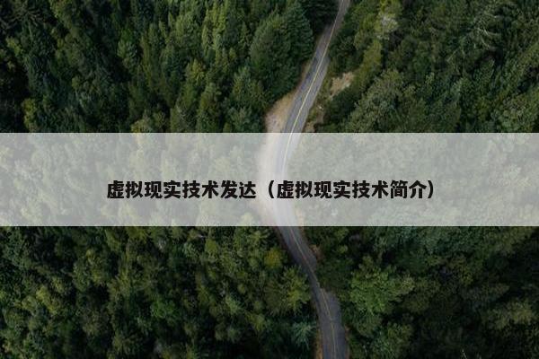 虚拟现实技术发达（虚拟现实技术简介）
