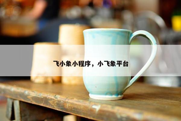 飞小象小程序，小飞象平台