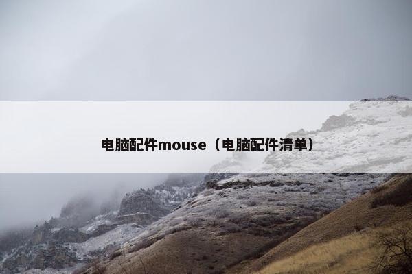 电脑配件mouse（电脑配件清单）