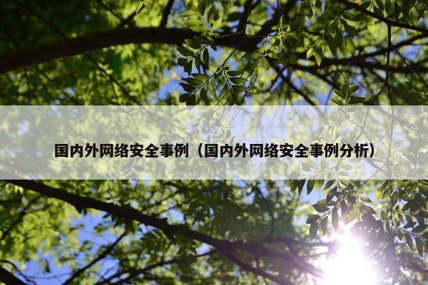 国内外网络安全事例（国内外网络安全事例分析）