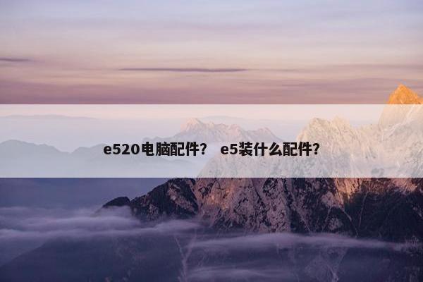 e520电脑配件？ e5装什么配件？