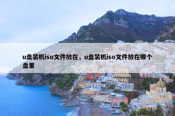 u盘装机iso文件放在，u盘装机iso文件放在哪个盘里