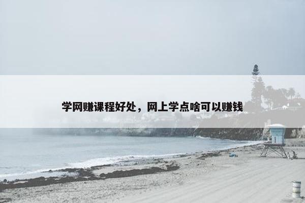 学网赚课程好处，网上学点啥可以赚钱