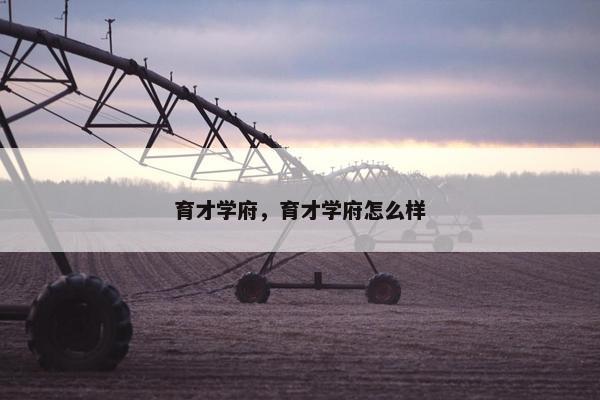育才学府，育才学府怎么样