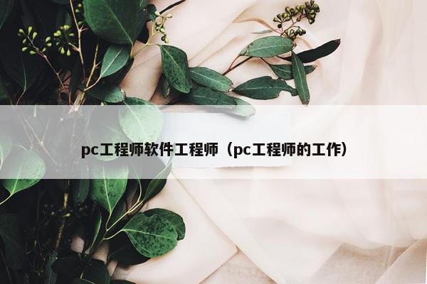 pc工程师软件工程师（pc工程师的工作）
