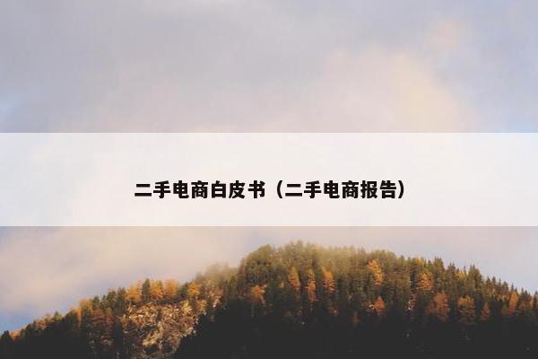 二手电商白皮书（二手电商报告）