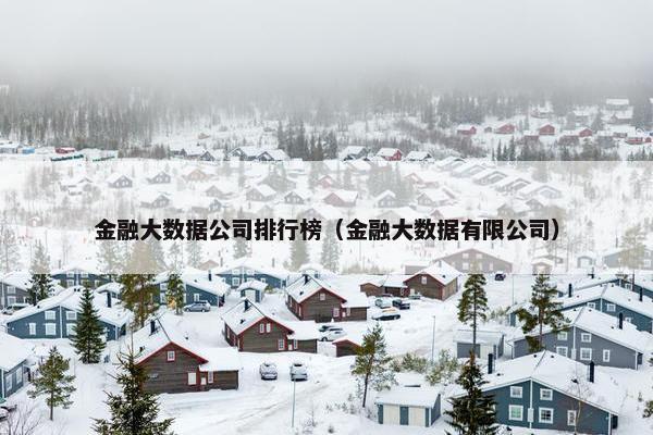 金融大数据公司排行榜（金融大数据有限公司）