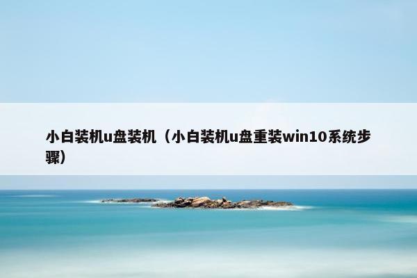 小白装机u盘装机（小白装机u盘重装win10系统步骤）