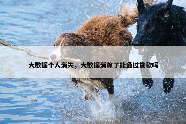 大数据个人消失，大数据消除了能通过贷款吗