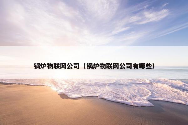 锅炉物联网公司（锅炉物联网公司有哪些）