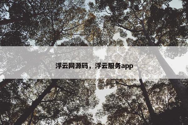 浮云网源码，浮云服务app