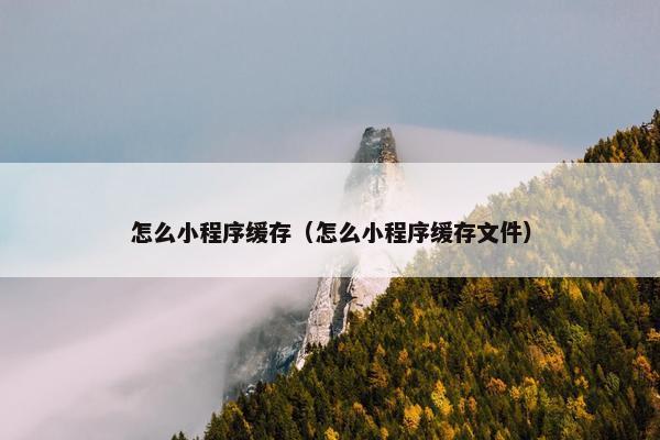 怎么小程序缓存（怎么小程序缓存文件）