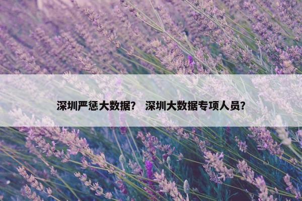 深圳严惩大数据？ 深圳大数据专项人员？