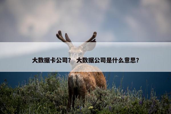 大数据卡公司？ 大数据公司是什么意思？