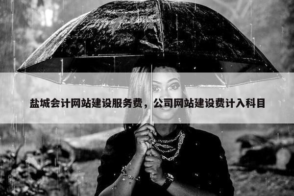 盐城会计网站建设服务费，公司网站建设费计入科目