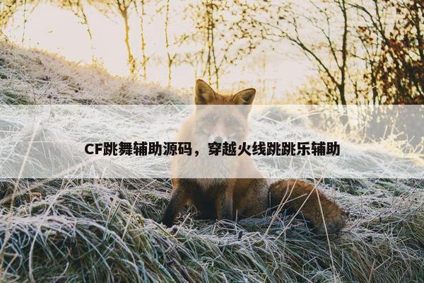 CF跳舞辅助源码，穿越火线跳跳乐辅助