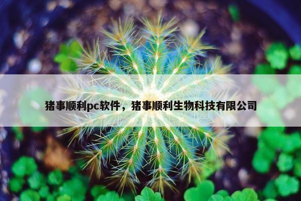 猪事顺利pc软件，猪事顺利生物科技有限公司