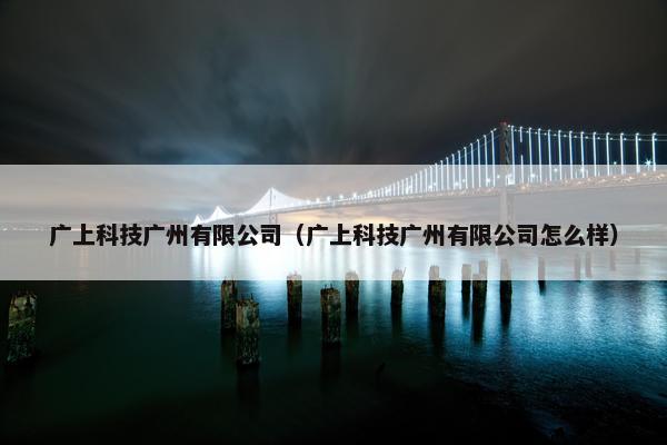 广上科技广州有限公司（广上科技广州有限公司怎么样）