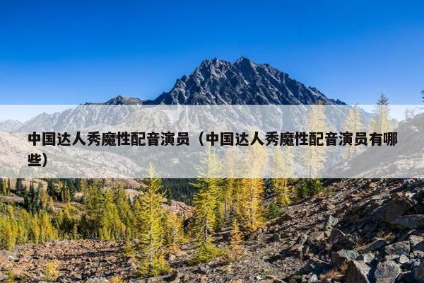 中国达人秀魔性配音演员（中国达人秀魔性配音演员有哪些）