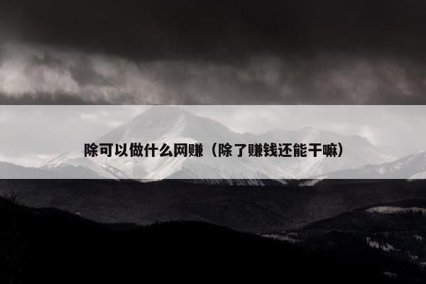 除可以做什么网赚（除了赚钱还能干嘛）