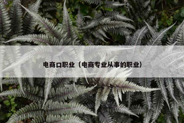 电商口职业（电商专业从事的职业）